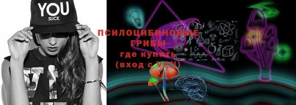 твердый Дмитров