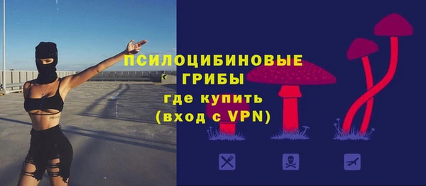 твердый Дмитров