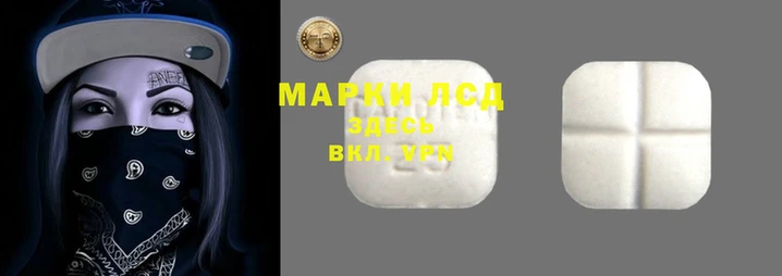 spice Гусь-Хрустальный