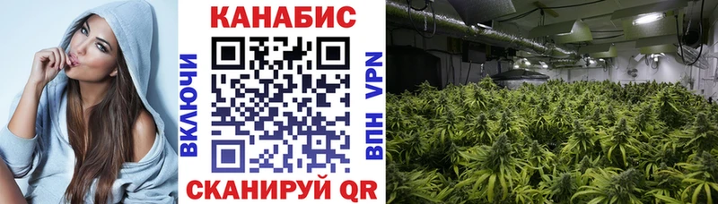 MEGA сайт  Кольчугино  Шишки марихуана сатива 